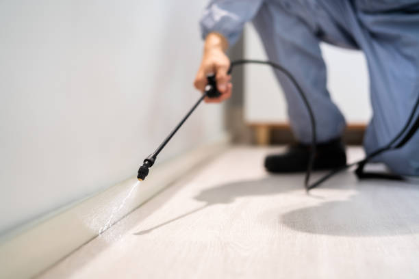 Licensed Pest Control service in Houghton, MI - Show Me Pest Control