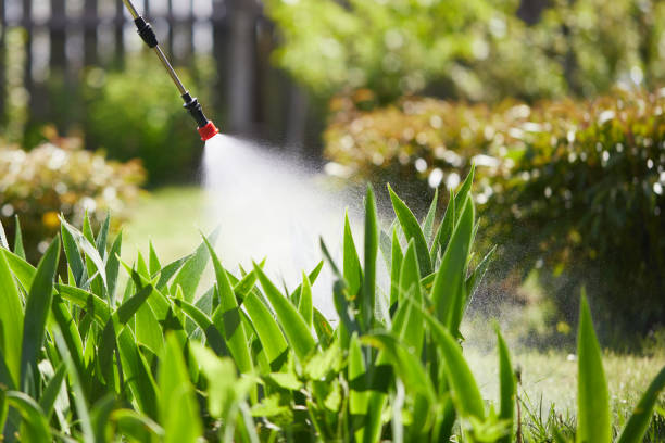 Tamper-Resistant Bait Stations for Rodents in Houghton