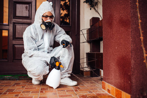 Attic and Crawl Space Rodent Treatment in Houghton